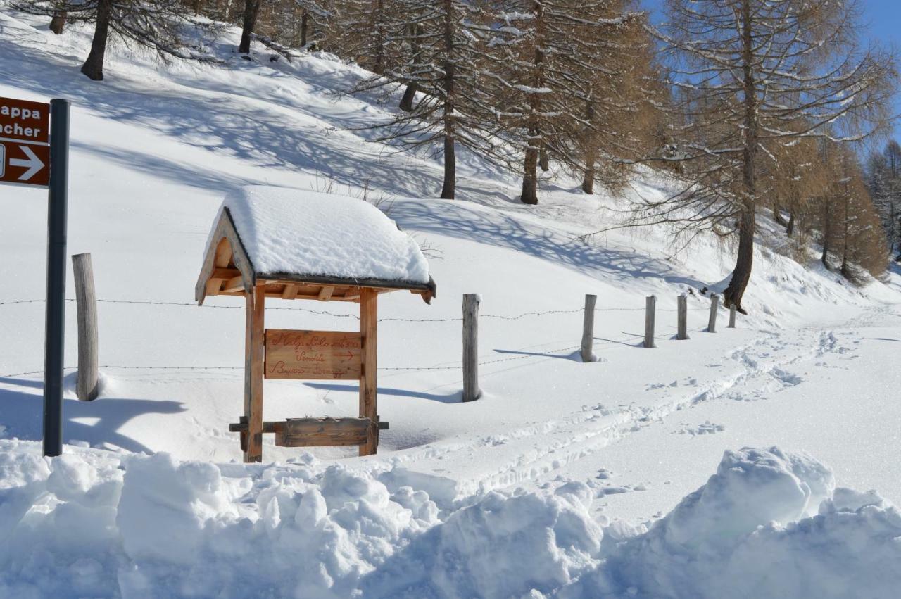 Chalet Serena Roncegno Εξωτερικό φωτογραφία